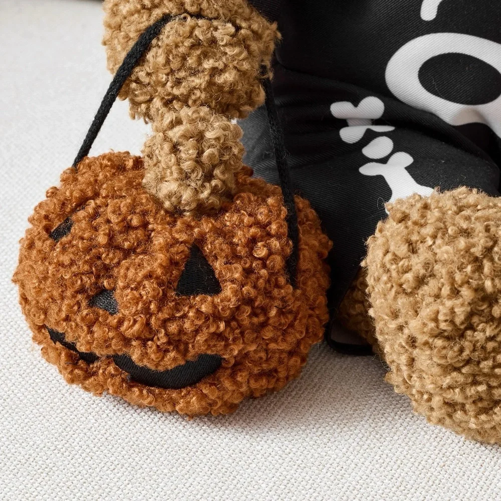 Pottery Barn Theo The Teddy Trick or Treating Pillow BN - Picture 3 of 7
